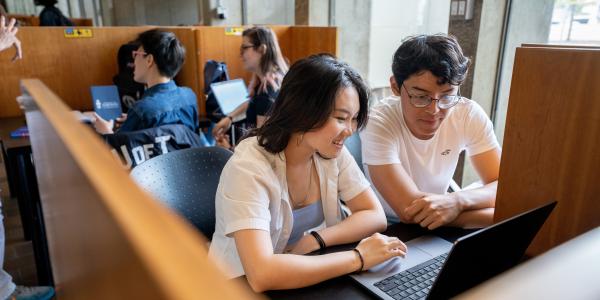 Students using laptop in study carrel.