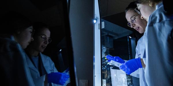 Students in lab.