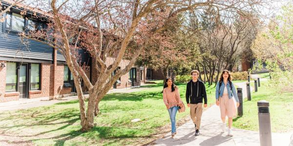 Three students walking outside on campus underneath a tree.