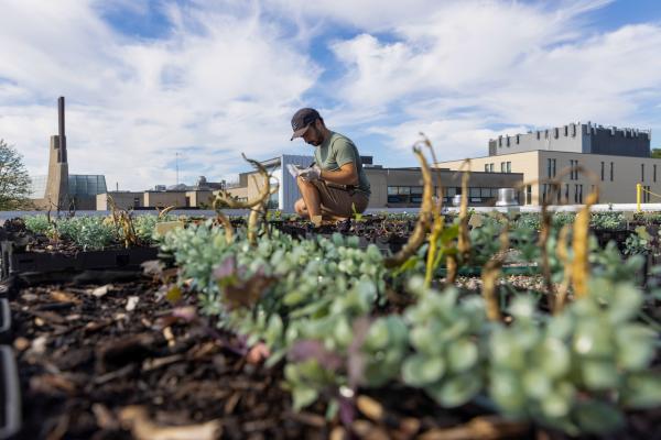 A person wearing a cap and gloves crouches in a rooftop garden, tending to plants and taking notes, with a university building and blue sky in the background