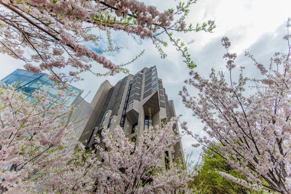 Looking up through cherry blossoms at a brutalist-style building on a partially cloudy day