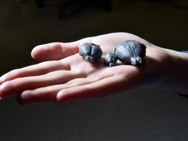 A close-up of a hand holding three small 3D-printed animal models