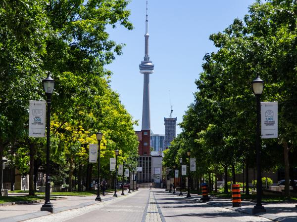 King's College Road with the CN Tower in the background