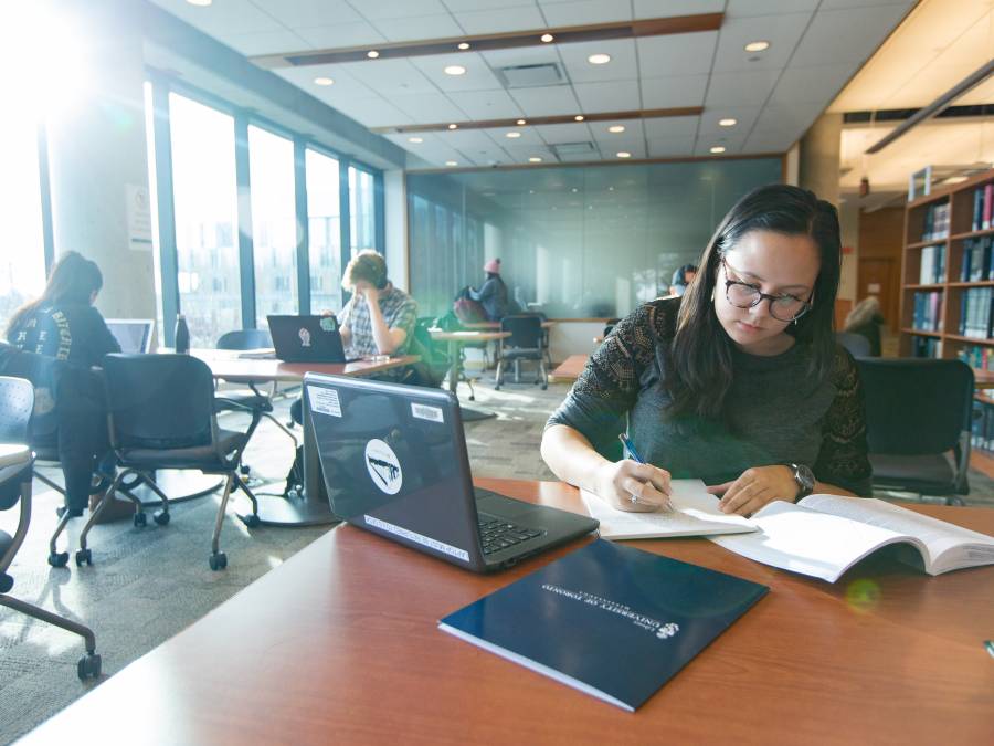 Student studying in UTM library.