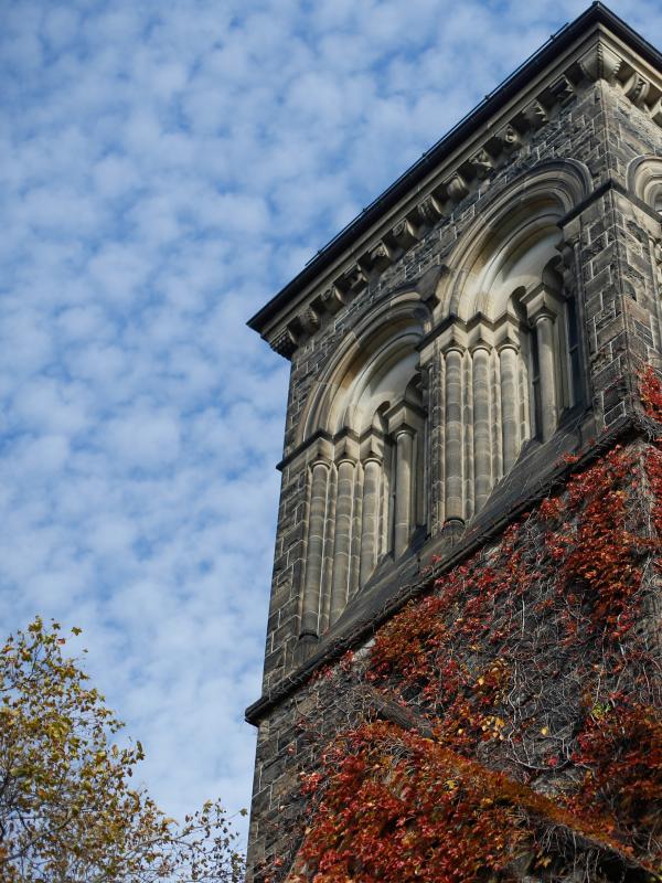 The tower of Sigmund Samuel Library covered in red ivy on a clear fall day.