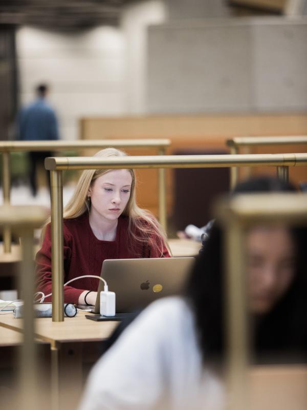 Student sitting in library.
